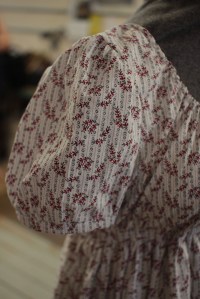 Empire Dress (close-up sleeve) Swatch FL-81